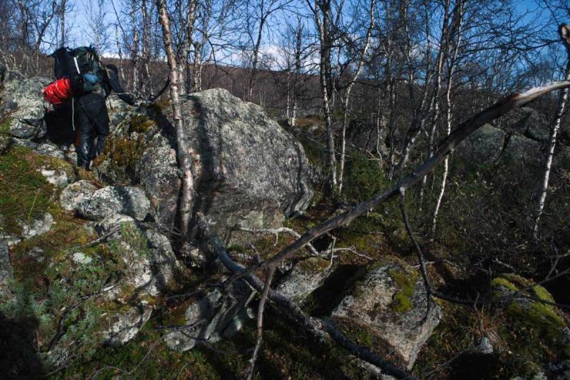 Dellikälven