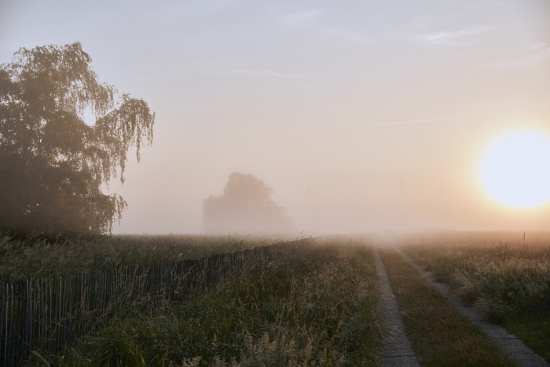 CHRISTIAN BENDEL - MOODS HAUSAMMOOR