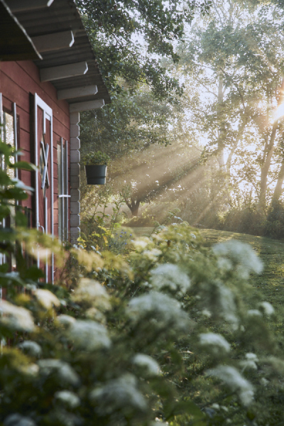 CHRISTIAN BENDEL - MOODS HAUSAMMOOR