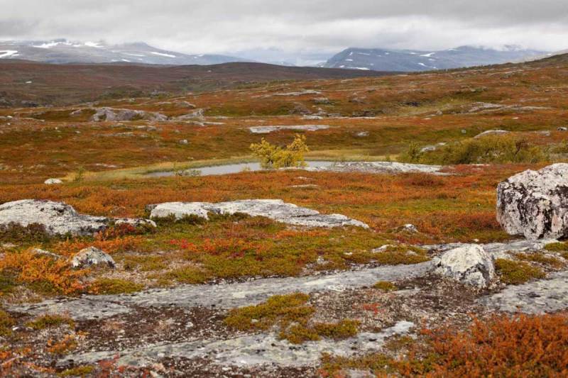 Laisälven