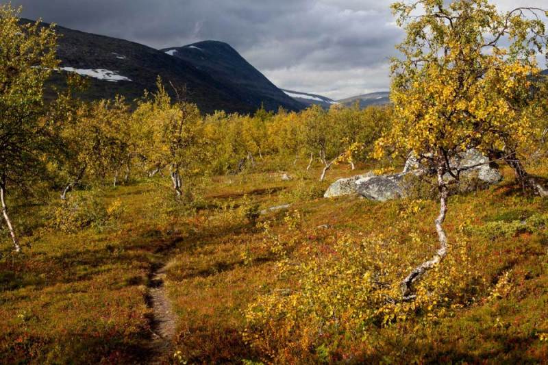 Laisälven