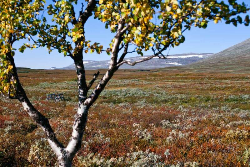 Laisälven