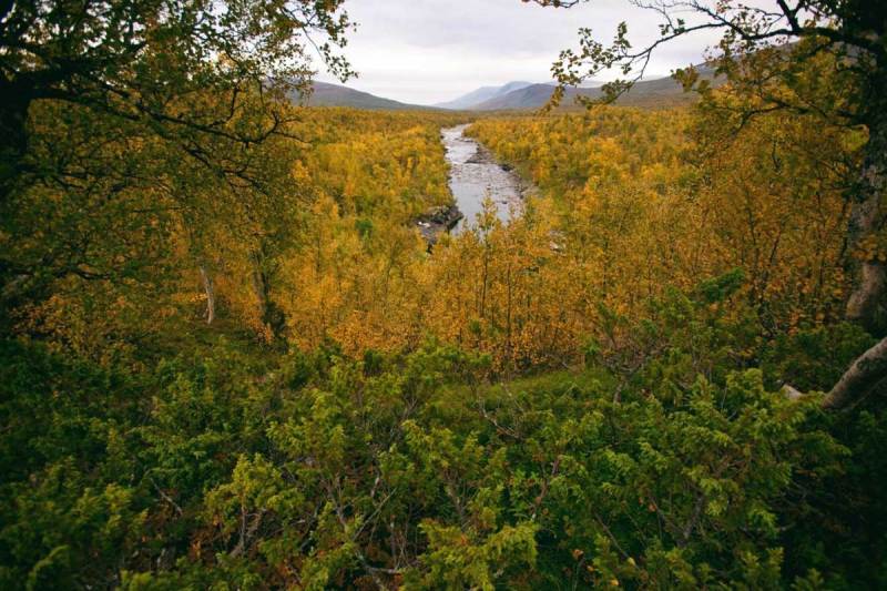 Laisälven
