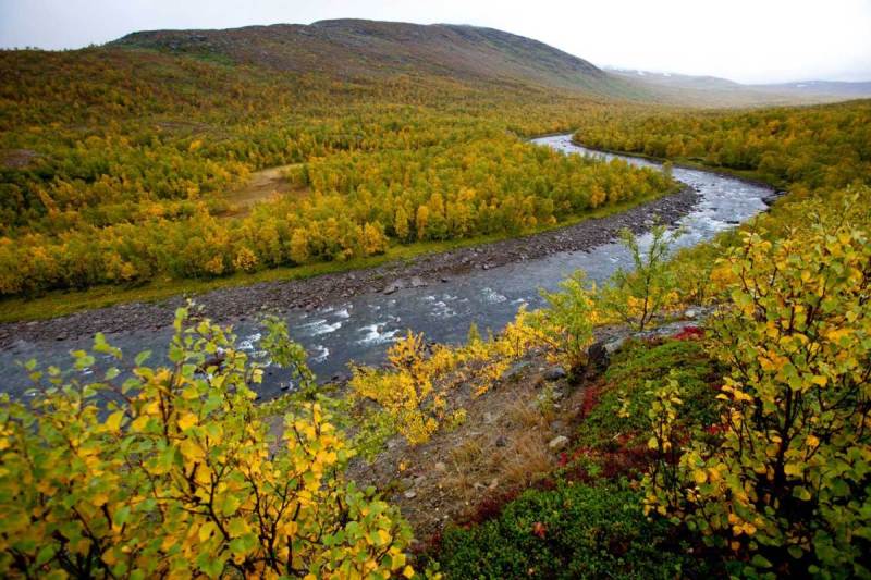 Laisälven