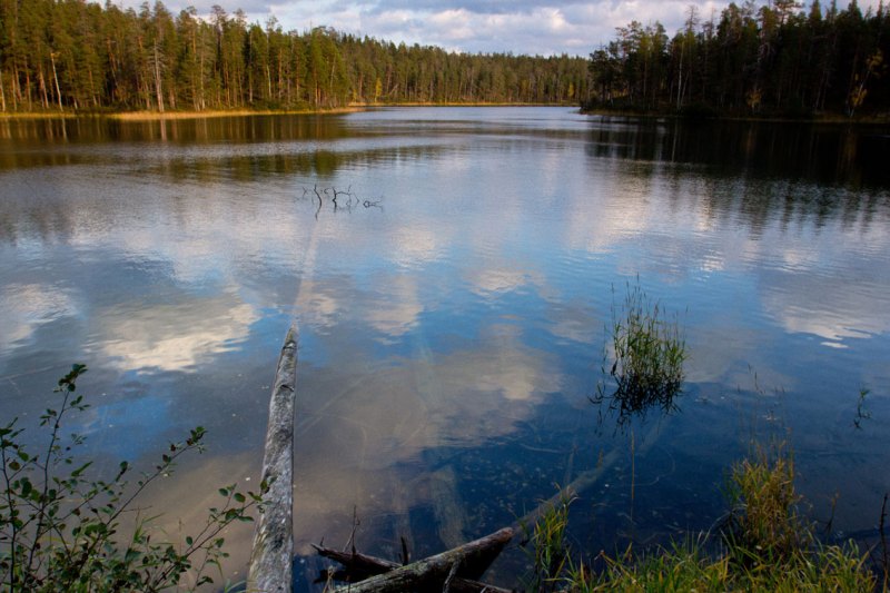 Paanajärvi