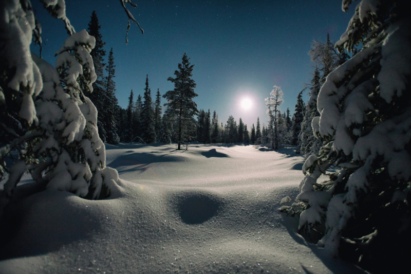 Lappland-1
