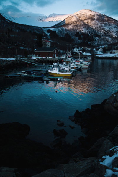 Senja-3