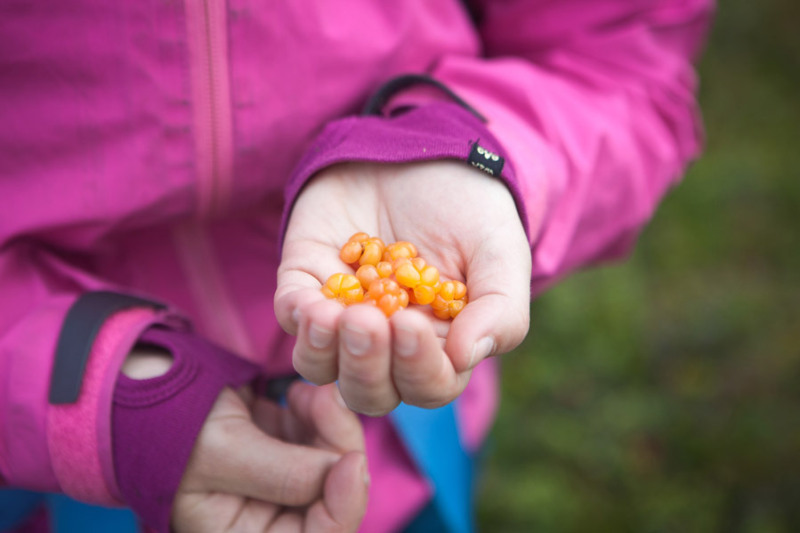 Trekking_Food-39